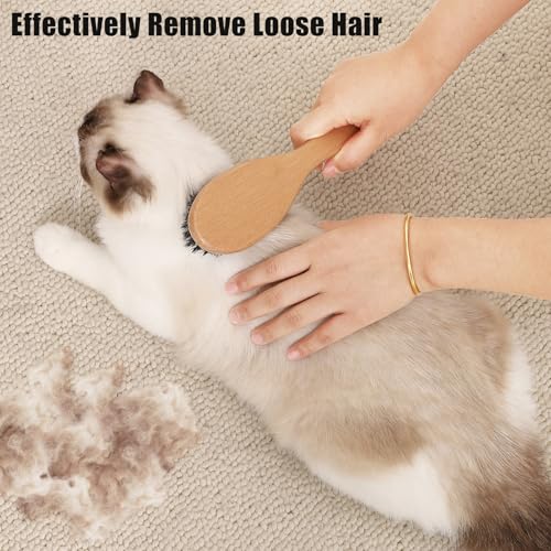 Boar Bristle Cat Brush with Wooden Handle, Soft and Gentle, Reduce Shedding, Make Coat Soft, Smooth and Shinny, Daily Groo...