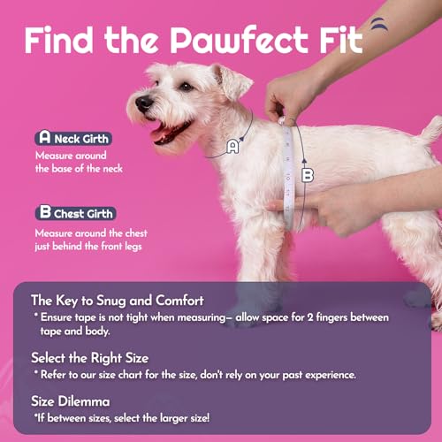Eagloo Small Dog Harness and Leash Set, Step in Puppy Vest with Breathable Soft Mesh, Walking Reflective Pet Harness for S...