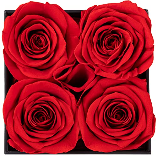 Impouo Preserved Rose, Mothers Day Roses in a Box, Forever Preserved Roses Gift for Mom, Birthday Gifts for Women/Mom/Girl...