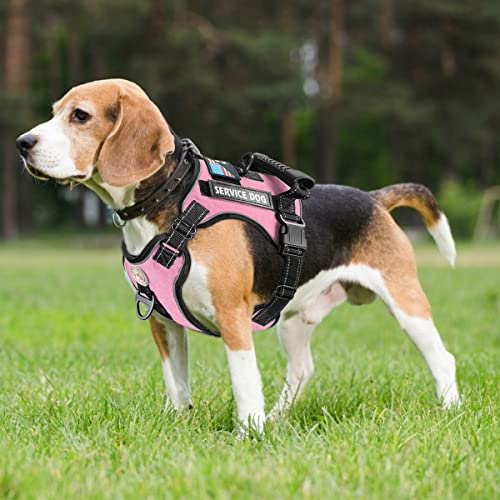 Cymiler Service Dog Vest,No-Pull Dog Harness and Leash Set,Adjustable Oxford Reflective Service Dog Vest Harness with Hand...