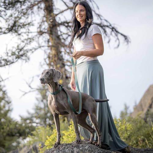 Blueberry Pet Essentials Dog Harness and Leash Set - Large Orange Vermilion Dog Collar and Leash Set for Eco-Conscious Own...