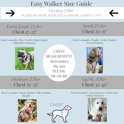 Lucky Love Dog Harness, Easy to Walk, No Pull Dog Harness, Adjustable Custom Fit (Hippie, Small)