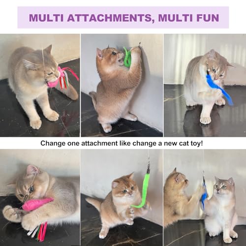 ZeyZoo Cat Toys for Indoor Cats, 11PCS Interactive Cat Toy Wand Pack, 2 Retractable Cat Wand & 7PCS Worm Teaser Refills, P...