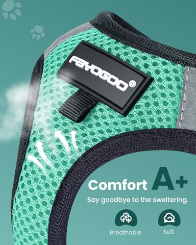 FAYOGOO Escape Proof Cat Harness and Leash Set for Walking, Secure-Fit Step-in Cat Vest Harness, Soft & Lightweight for Ki...