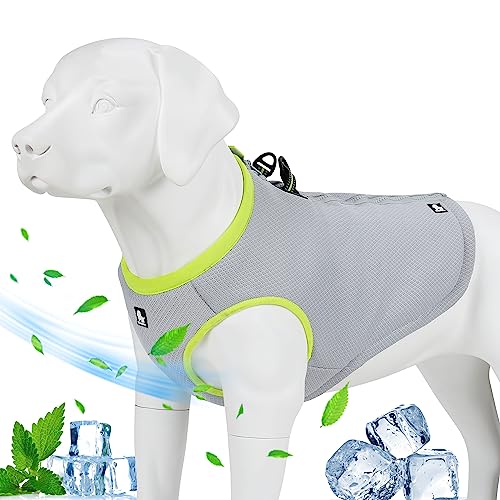 JUXZH Truelove Dog Cooling Vest Harness Cooler Jacket with Adjustable Zipper for Outdoor Hunting Training and Camping Green