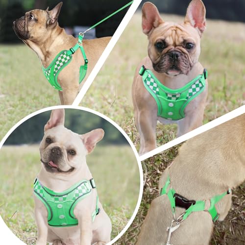 Dog Harness with Leash Set, Adjustable Step in with Breathable Padded Vest Harness for Medium Large Dogs Training and Runn...
