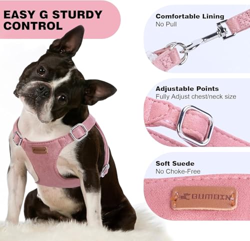 Dog Harness and Leash Set, XXS No Pull Adjustable Puppy Harness with Multifunction Pink Dog Leash and Dog Collar, Soft No ...