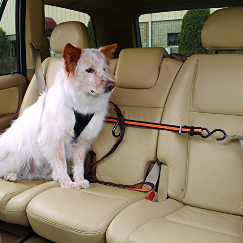 Kurgo Auto Zip Line - Backseat Zipline Harness for Car Travel - Dog Car Accessory for Safe Rides - Adjustable Pet Tether -...