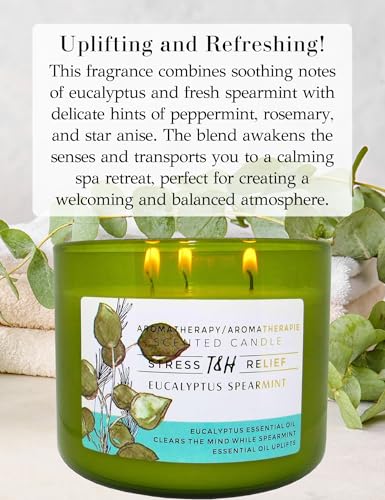 Eucalyptus Spearmint Scented Candle | 15.8 oz Large 3 Wick Soy Candle | Soothing Aromatherapy Candle for Home | Fresh Spa ...