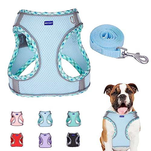 BTDCFY Step in Mesh Dog Harness and Leash Set - Breathable Air Mesh Reflective Escape Proof Dog Harness Vest - No Choke, L...