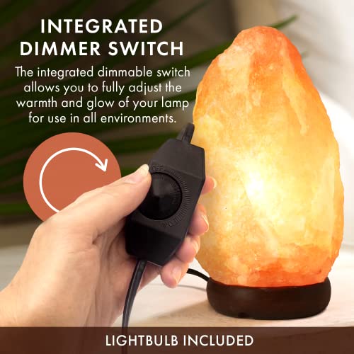The Body Source Himalayan Salt Lamp 10-12 Inches (11-15lb) | Includes Dimmer Switch | Natural Salt Rock Lamp with Handcraf...