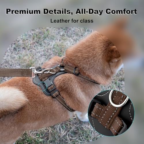 Plutus Pet Adjustable No Pull Dog Harness with Leather Accents, Heavy Duty Reflective Nylon Vest for Training, Hiking, Eas...