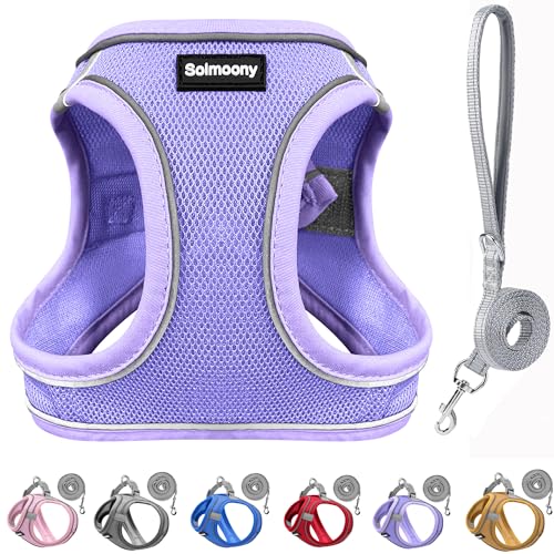 Solmoony Sparkly XXXS Dog Harness and Leash Set, Step in Soft Light Puppy Vest, Breathable Reflective Pet Harness for Walk...