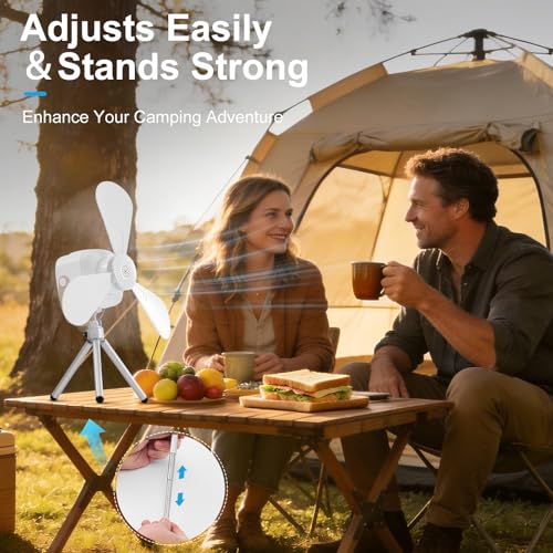 Liomus Portable Camping Fan with Lights,LED Hanging Ceiling Fan With Remote&Timer, 9.25" Wireless Rechargeable Tent Fan,4 ...