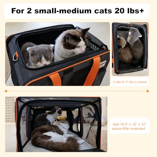 pidipiti 20 x 14 x 14 inches Expandable pet Carrier for 1 Large cat Under 25 lbs,2 Medium Cats 20 lbs+,cat Crate/Bag for S...
