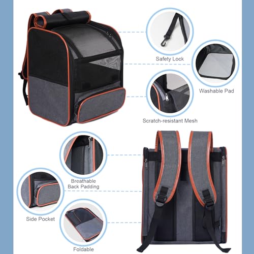Pesen Cat Backpack Carrier, Breathable & Foldable Pet Carriers for Cats, Small Dogs and Rabbits Under 15 lbs, Airline Appr...