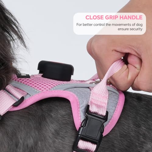 Cat Harness and Leash Set with AirTag Holder: Upgraded Escape Proof Vest with Lead for Small Dog Puppy Large Cat Walking，S...
