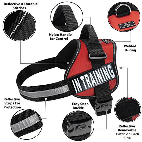 Service Dog in Training Vest - Adjustable No Pull Dog Harness with Patches. in Training Dog Vest for Service Dogs Small, M...