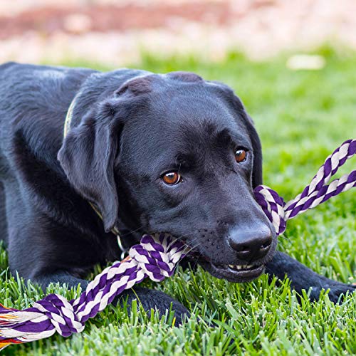 SHARLOVY Large Tough Chew Toys for Aggressive Chewers Large Breed,Heavy Duty Dental Rope Toys Kit for Medium Dogs,5 Knots ...