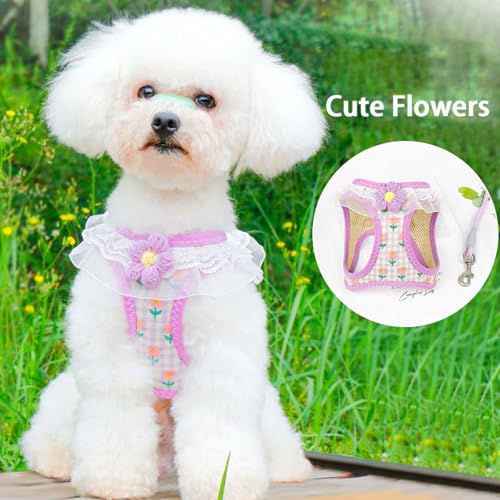 Cat Harness Collar and Leash Set, Sweet Lace Floral Kitten Collar, Escape Proof Puppy Chest Harness, Adjustable Cute Harne...