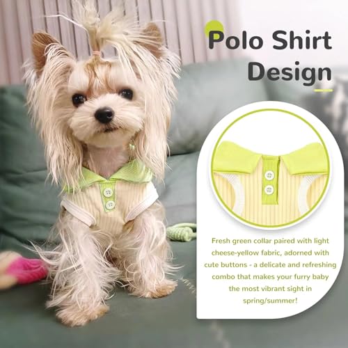 AXIIJGL Dog Tshirts for Small Dogs Polo Shirt Stretchy Dog T Shirt Breathable Dogs Cooling Vest Sweatshirts Girl Boy Puppy...