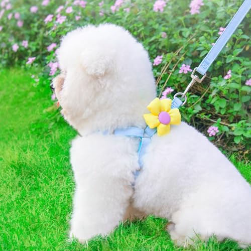 Dog Harness Collar and Leash Set, Sweet Floral Puppy Collar, Escape Proof Puppy Chest Harness, Adjustable Cute Harness Lea...