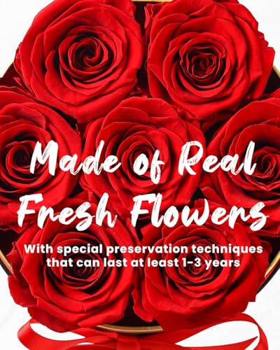 Changshunqi Forever Flowers Preserved Roses in a Box - 7 Preserved Flowers in a Box Last 2-3 Years, Rose Forever Birthday ...