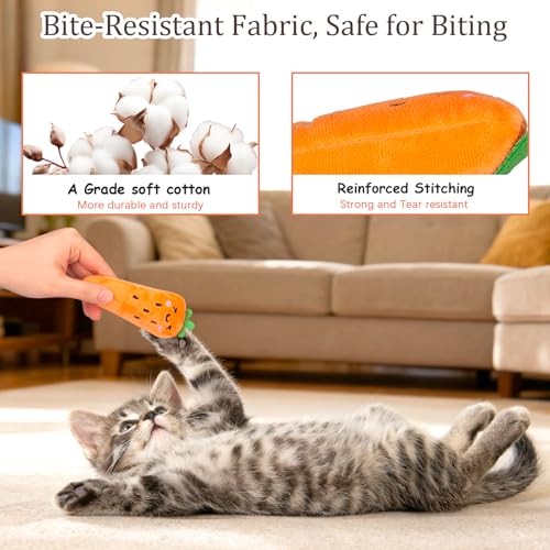 ETEKYER Catnip Cat Toys, 5 Pack, Plush Cat Nip Toys for Indoor Kitten Kitty, Interactive Cat Kicker Chew Safe Teeth Cleani...