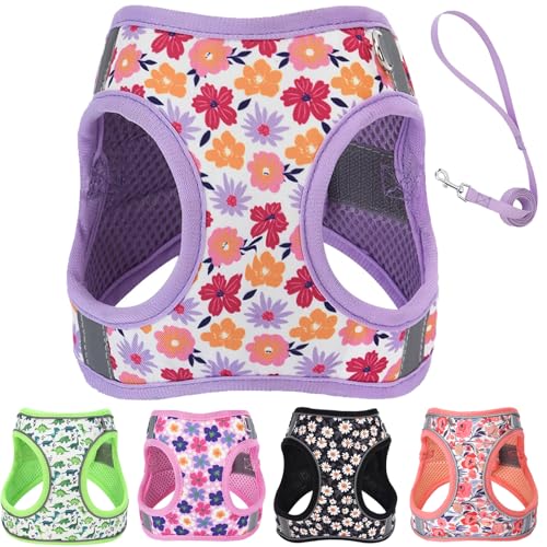 Small Dog Harness and Leash Set, Step in Dog Harness No Pull for Walking Running Training, Puppy Essentials for Dogs Cat B...