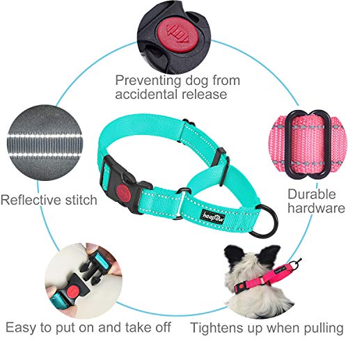 haapaw Martingale Dog Collar with Quick Release Buckle Reflective Dog Training Collars for Small Medium Large Dogs