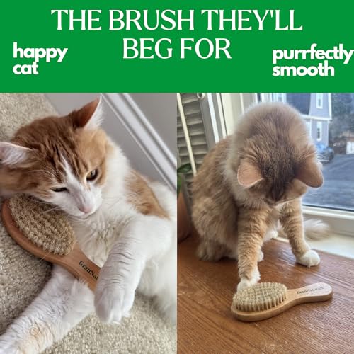 GranNaturals Boar Bristle Soft Cat Brush for Indoor, Outdoor, Short Haired Cats, Kittens, Small Dog, Rabbit, Furry Pets - ...