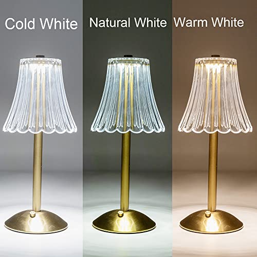 HEQET Cordless Table Lamps for Home,Table,Dining Room, Gold Rechargeable Lamps, USB Charge 12'' Tall LED Brass Portable Ou...