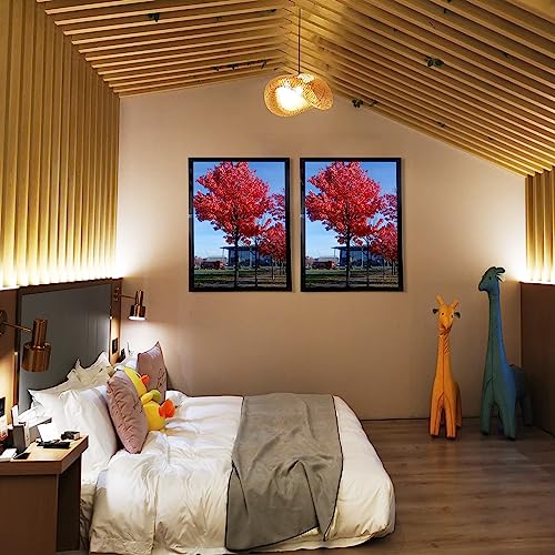Medog 11x17 Picture Frame in Black, Display pictures 11x17 Poster Frame, Wall Sign Poster Menu Photo Frames, 1 Pack
