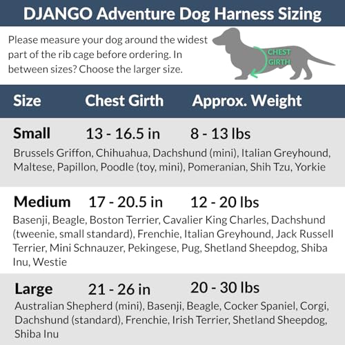 DJANGO Adventure Dog Harness - Stylish and Durable Medium Dog Harness for Outdoor Adventures and Everyday Wear - Forest Gr...