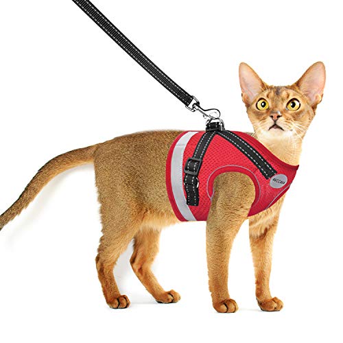 Cat Harness and Leash for Walking, Kitten Escape Proof Harnesses, Adjustable Reflective Puppy Harness with Leashes Set, Ea...