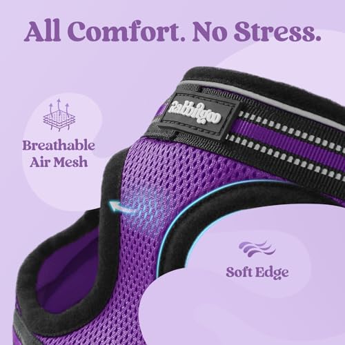 rabbitgoo Cat Harness and Leash Set for Walking Escape Proof, Adjustable Soft Kittens Vest with Reflective Strip for Cats,...