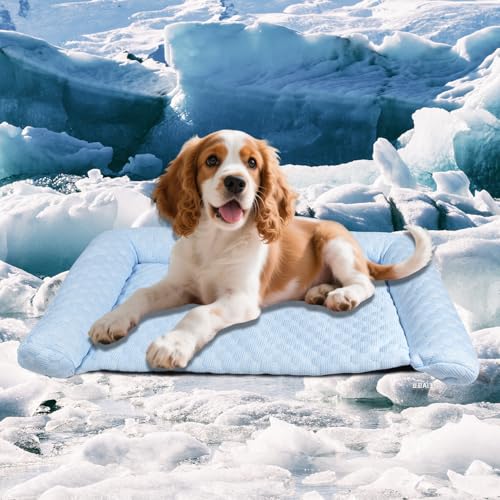 Cooling Mat for Dogs - 2025 Upgraded 20" x 12" Washable Pet Cooling Pad for Cats, Non-Slip Kennel Bed for Summer, Ultra-Co...