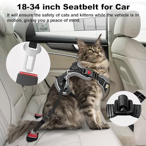 MingXpets Cat Harness and Leash for Walking, Retractable Cat Harnesses and Leash Set Escape Proof, Breathable Soft Kitten ...