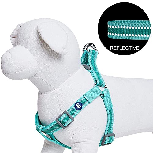Blueberry Pet Essentials Reflective Back to Basics Matching Dog Harness and Leash Set, Minty Green, Adjustable Harness wit...