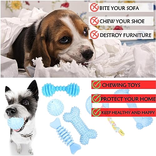 CGBD Puppy Toys, 6 Pack Dog Chew Toys for Puppy, Cute Blue Small Dog Toys, Teething Toys for Puppies, Soft Durable Interac...