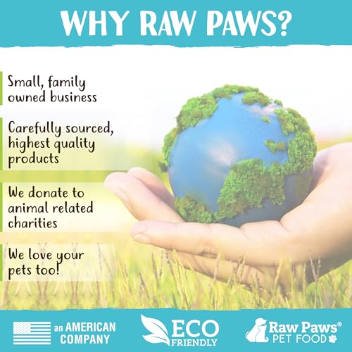Raw Paws Catnip Balls for Cats, (6-Count) - Interactive Cat Toy for Indoor Cats - Cat Nip Licking Balls