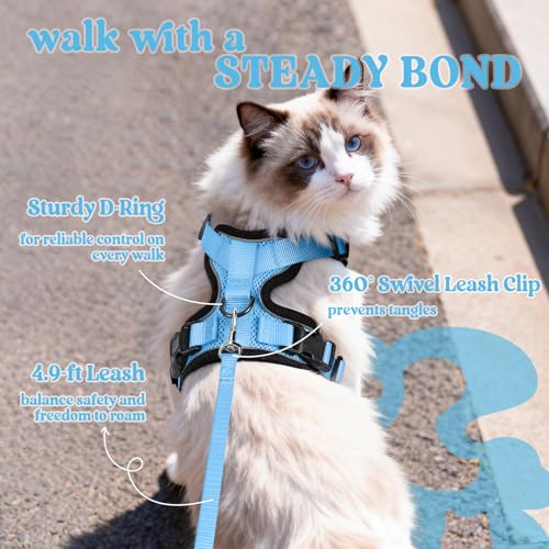 rabbitgoo Cat Harness and Leash for Walking, Escape Proof Soft Adjustable Vest Harnesses for Cats, Easy Control Breathable...