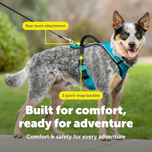 PetSafe EasySport Harness - Durable Padded Fabric, Adjustable Elastic Neckline, Rear-Leash Attachment & Nighttime Reflecti...