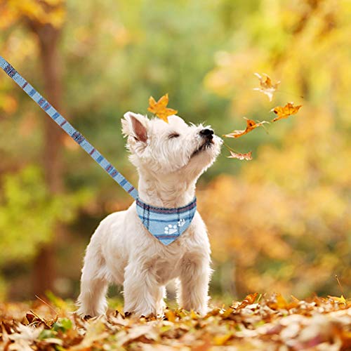 EXPAWLORER Puppy Collar and Leash Set - Embroidery Pawprints Plaid Dog Collar and Dog Leash Set, Bow Tie and Bandana Dog C...