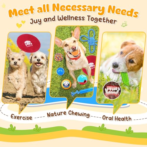 KIPRITII 25 Pack Dog Toys Set – Ideal for Teething, Entertainment & Interactive Play, Includes Puppy Toys, Rope Toys, Trea...