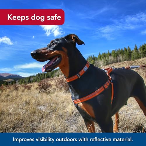 Coastal Pet K9 Explorer Reflective Adjustable Padded Dog Harness - Plush Chest Pad for Comfort - No-Pull Dog Harness for S...