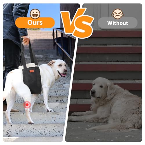 Adjustable Dog Lift Harness Dog Sling for Large Dogs Hind Leg Support Soft Lift Support and Rehab Harness for Weak Rear Le...