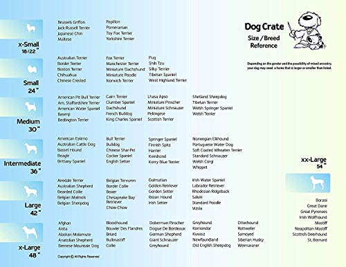 MidWest Homes for Pets Spree Travel Carrier – Hard-Sided Dog & Cat Carrier, Small Pet Travel Crate with Handle, Ventilated...