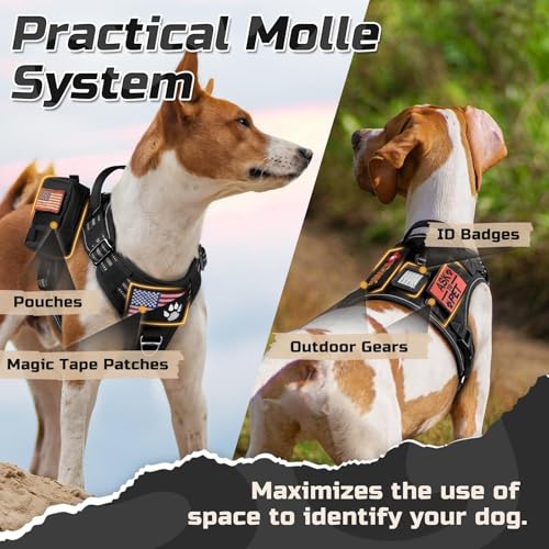 rabbitgoo Tactical Dog Harness for Large Dogs, No Pull Military Service Vest with Handle & Molle, Easy Control for Trainin...