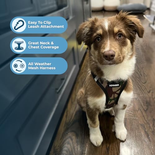 Best Pet Supplies Voyager Step-in Air Harness - All Weather Mesh, Reflective, No Pull Harness for Dogs, Cats - Secure with...